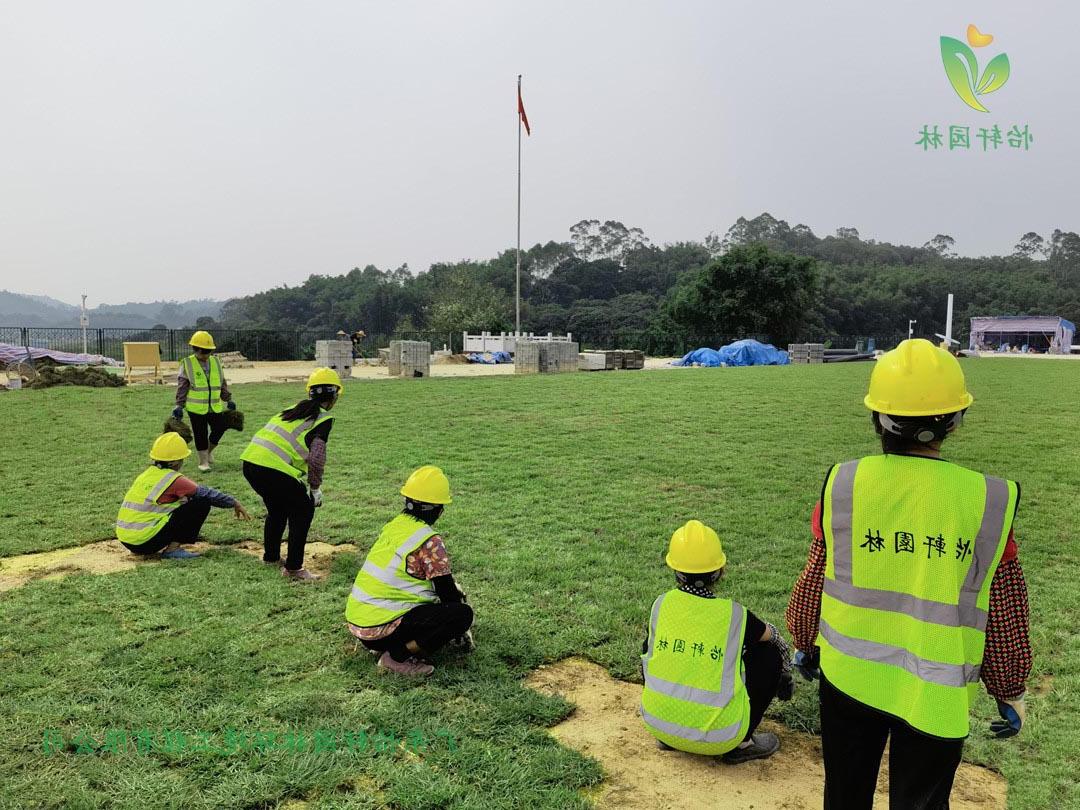 十大电子娱乐网站网上园林欢迎访问十大电子网址即将完工！