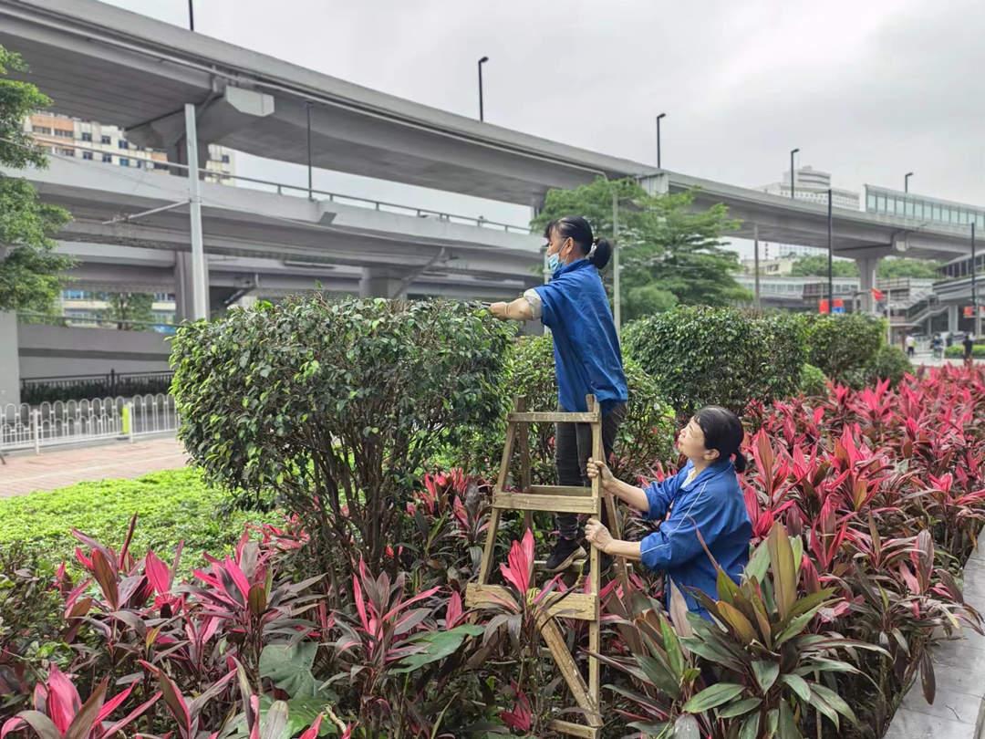 五月份绿化养护修剪